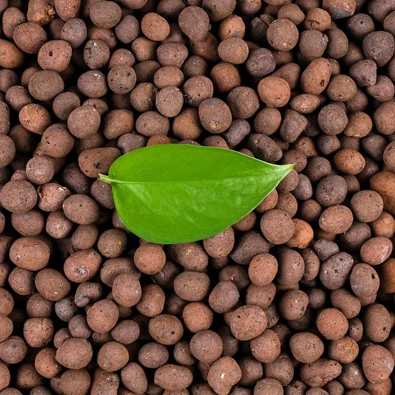1LB Kerikil Tanah Liat Hidropo - Clay Pebble Growing ulasan dan harga