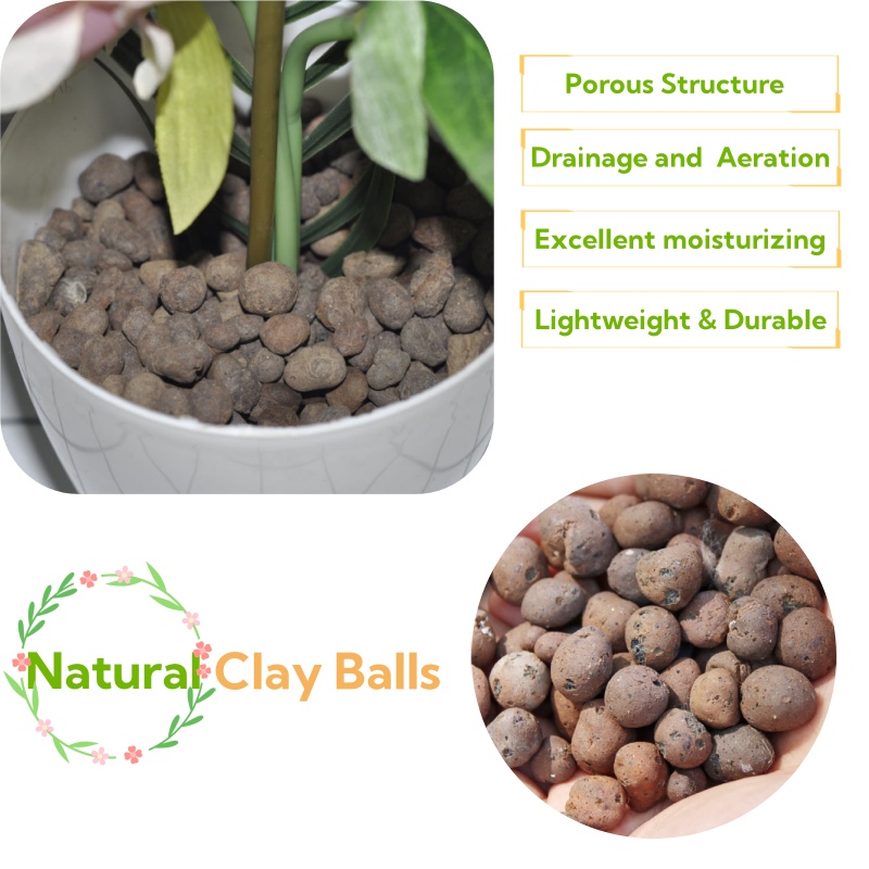 Bola Tanah Liat Organik 2L/1L, - Clay Pebble Growing ulasan dan harga