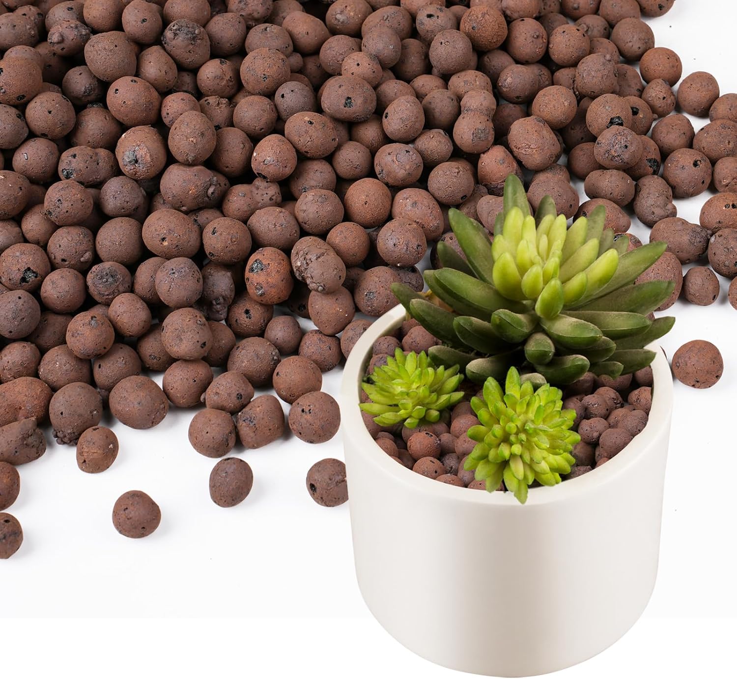 100/200G Kerikil Tanah Liat un - Clay Pebble Growing ulasan dan harga